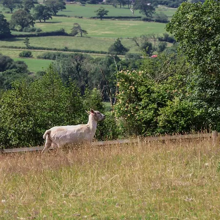 Tatil Evi Thistlewoods Shepherds Hut *